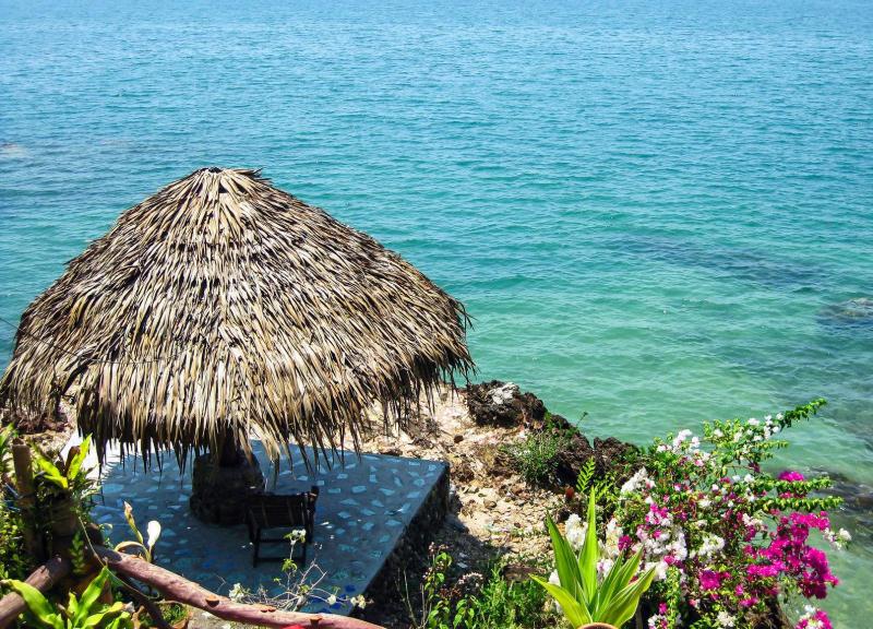 秋月（广州）健康管理服务有限公司